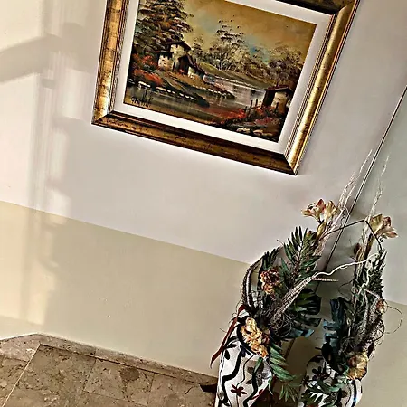 Adriatica Sul Mare Hotel 3*